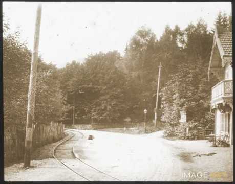 Rails de tramway (Gérardmer)